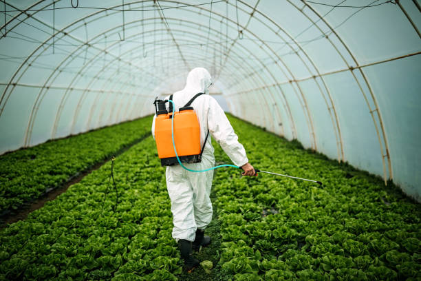 Best Mosquito Control Services  in Tuscoosa, AL