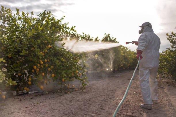 Best Commercial Pest Control Services  in Tuscoosa, AL