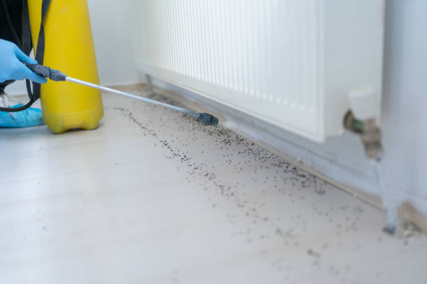 Best Pest Control Near Me in Tuscaloosa, AL
